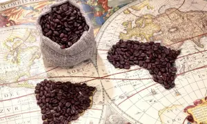Kaffebönor i en säck och formade som ett hjärta och Afrika på en gammal världskarta. Vem uppfann kaffe? Kanske en upptäcktsresande!