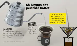 Fakta om kaffe: En svanhalskanna ger rätt höjd och flöde för vattenstrålen. Kaffet cirkulerar för en bättre blandning.