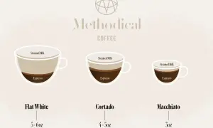 Illustration visar tre kaffedrycker: Flat White, Cortado och Macchiato. Cortado har en balanserad blandning av espresso och ångad mjölk.