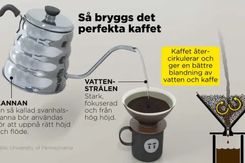 Fakta om kaffe: En svanhalskanna ger rätt höjd och flöde för vattenstrålen. Kaffet cirkulerar för en bättre blandning.