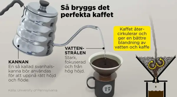 Fakta om kaffe: En svanhalskanna ger rätt höjd och flöde för vattenstrålen. Kaffet cirkulerar för en bättre blandning.