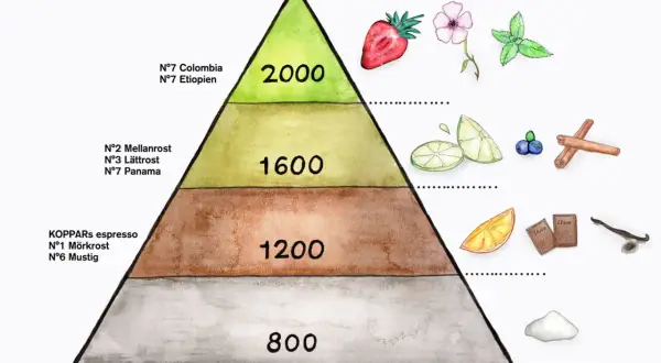 En smakpyramid visar var odlas kaffe, med olika rostningar och smaknoter som jordgubbar, citrus, choklad och kanel.
