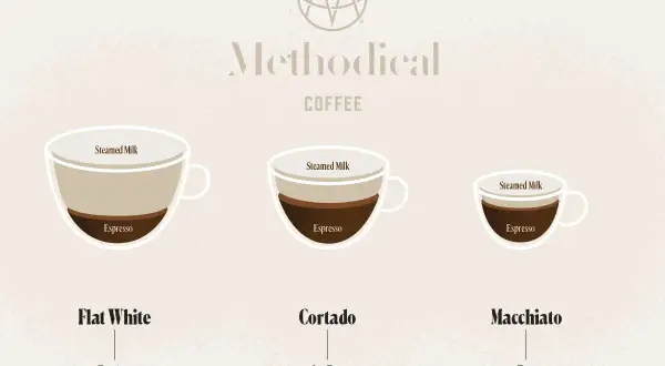 Illustration visar tre kaffedrycker: Flat White, Cortado och Macchiato. Cortado har en balanserad blandning av espresso och ångad mjölk.