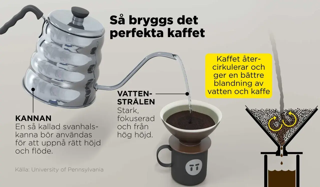 Fakta om kaffe: En svanhalskanna ger rätt höjd och flöde för vattenstrålen. Kaffet cirkulerar för en bättre blandning.