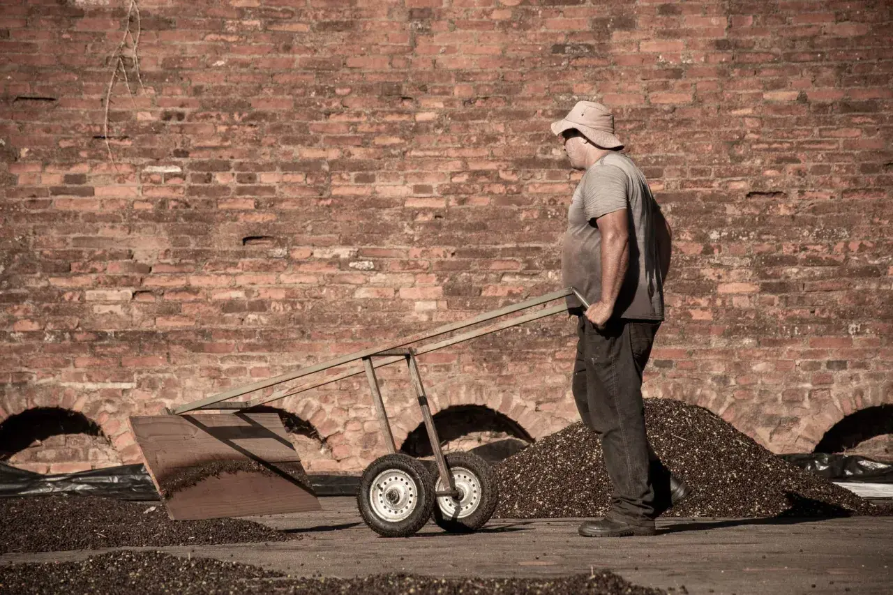 Man med hatt skottar kaffebönor framför en tegelvägg. Kanske en scen från vilket land producerar mest kaffe.