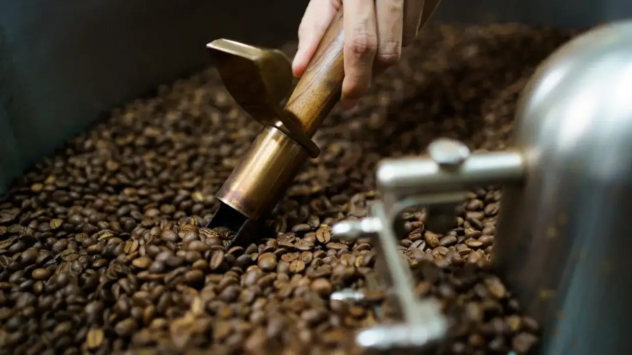 En hand tar upp rostade kaffebönor med en skopa. Frågan är, kan kaffe bli gammalt?