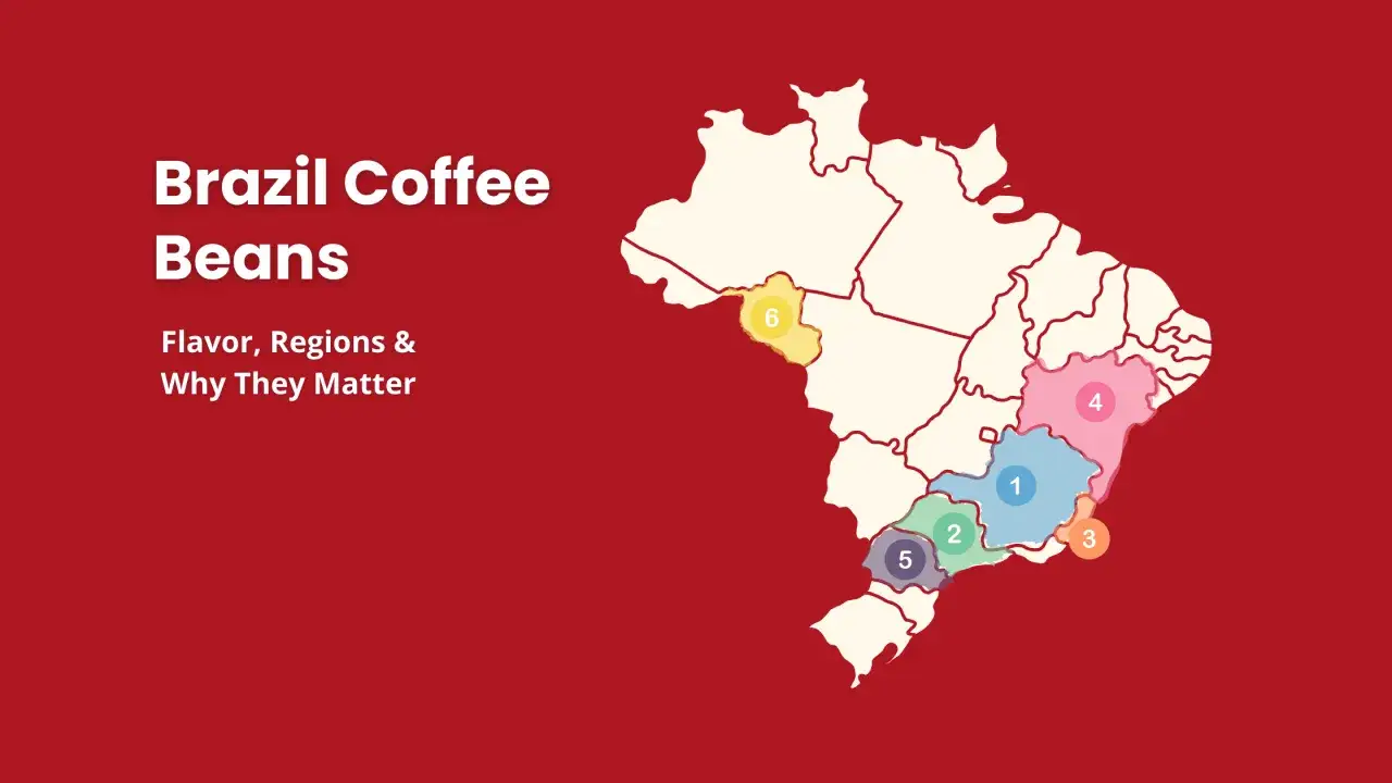 Karta &ouml;ver Brasilien som visar kafferegioner. Brasilien &auml;r landet som producerar mest kaffe i v&auml;rlden.