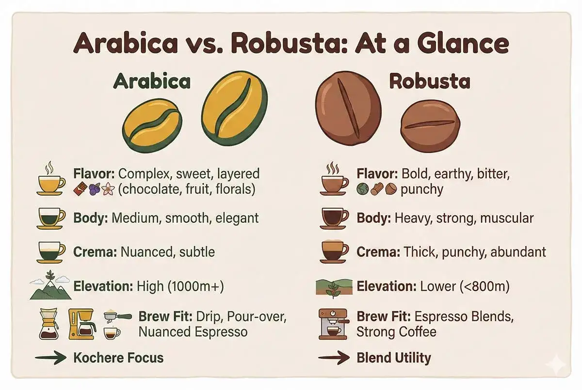 J&auml;mf&ouml;relse av olika kaffesorter: Arabica vs. Robusta. Visar smak, kropp, crema, h&ouml;jd och bryggmetoder f&ouml;r b&aring;da.