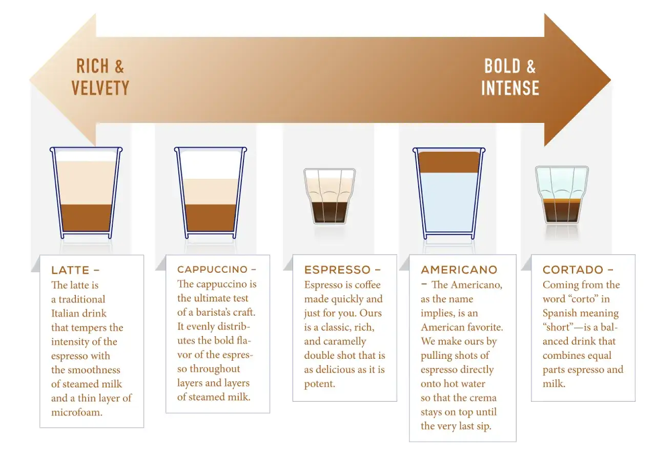 En illustration som visar olika typer av kaffe: latte, cappuccino, espresso, americano och cortado. Varje kaffedrink visas i ett glas och beskrivs kortfattat.