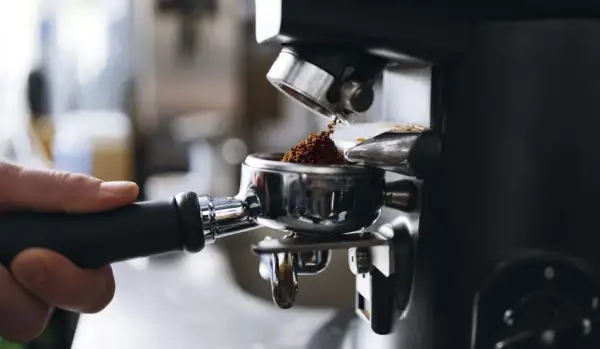 Malet kaffe fyller portafiltret, redo för att brygga en kopp av det dyraste kaffet djur kan producera.
