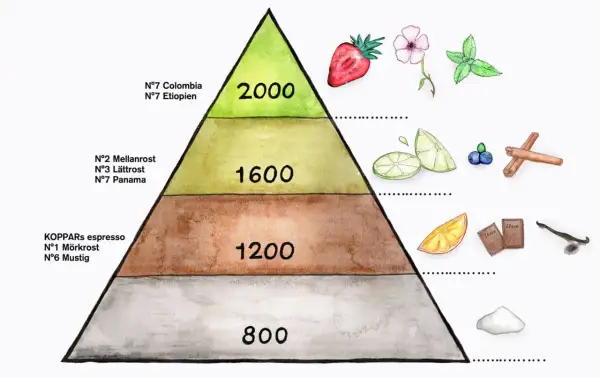 En smakpyramid visar var odlas kaffe, med olika rostningar och smaknoter som jordgubbar, citrus, choklad och kanel.