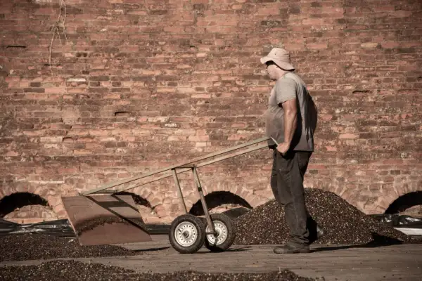 Man med hatt skottar kaffebönor framför en tegelvägg. Kanske en scen från vilket land producerar mest kaffe.